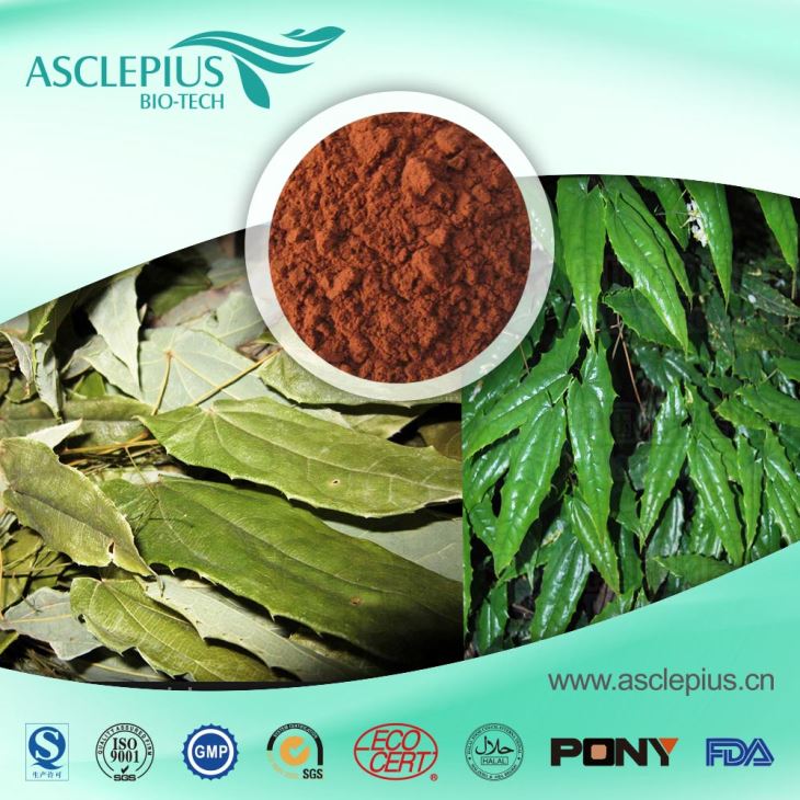 Epimedium extract,horny Goat Weed Extract Powder Supplier Wholesale /yin Yang Huo,icariin