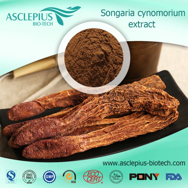 Cynomorium Extract Powder Supplier Wholesale