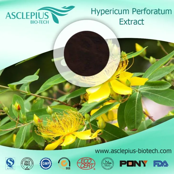 Hypericum Perforatum,Forsythia Suspensa Extract Powder Supplier Wholesale/ The Active Ingrediants Is Hypericin