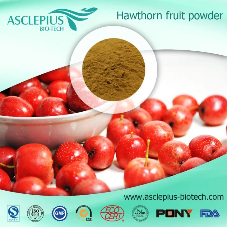 Hawthorn Berry Extract Powder Herbal Supplement Supplier Wholesale /the Active Ingrediants Is Vitexin