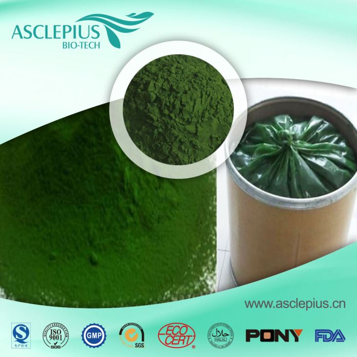 Spirulina Extract Powder,spirulina Protein Supplier Wholesale