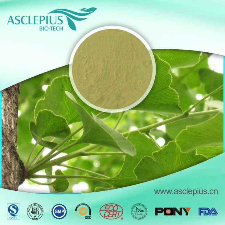 Ginkgo Biloba Leaf Extract Powder Supplier Wholesale