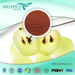 Grape Seed Extract ,the Active Ingredient Is OPC 95%,Procyanidins Top Supplier Wholesale