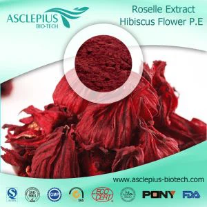 Roselle Extract,Jamaica Sorrel Extract Supplier Wholesale /Hibiseus SabdariffaL,the ActiveIngredient Is Anthocyanin