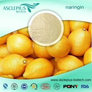 Citrus Aurantium L Extract Powder Supplier Wholesale /hesperidin Complex Supplement
