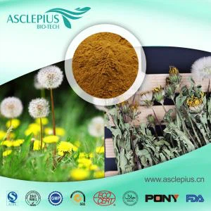 What is the impact of B17 on allergies?