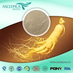 Panax Ginseng Extract Powder Supplier Wholesale/Panaxoside,including Ginsenoside RB1,ginsenoside Rg1,ginsenoside Rg3,ginsenoside Rg2,ginsenoside Rh2
