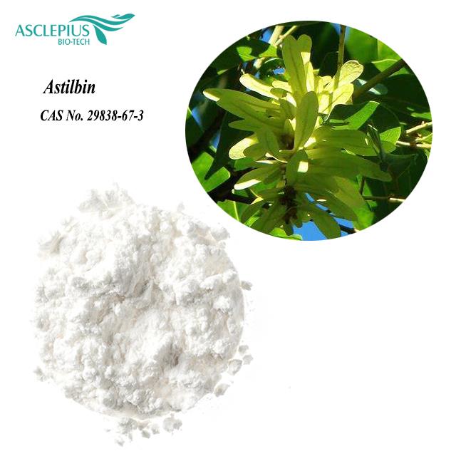 Astilbin Extract Powder/CAS 29838-67-3