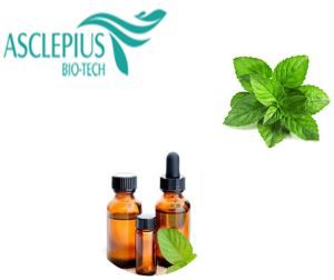 100% Pure Natural Peppermint Essential Oil / Factory Wholesale Price